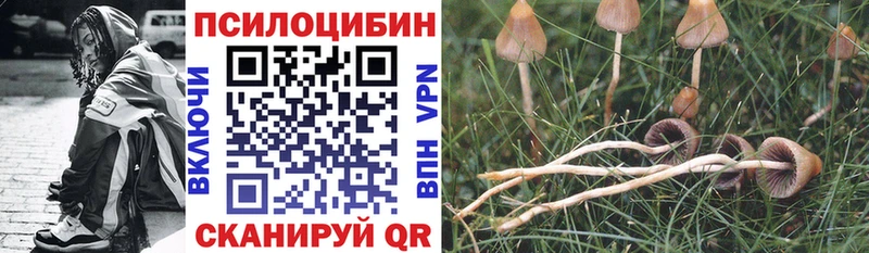 Галлюциногенные грибы MAGIC MUSHROOMS  Купить  Кирс 